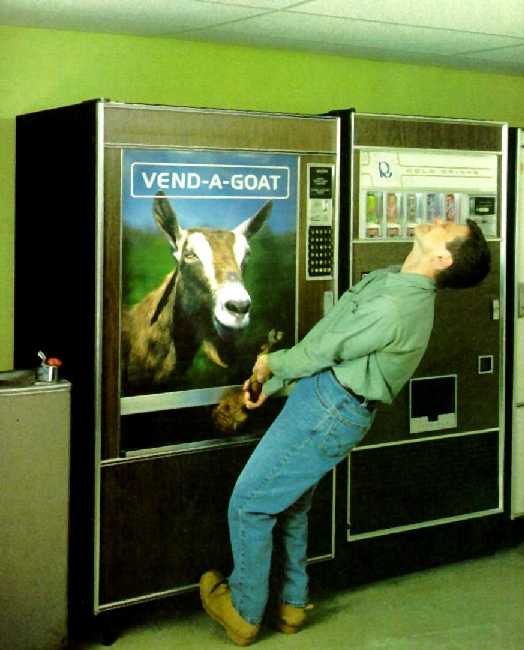 vendagoat.jpg